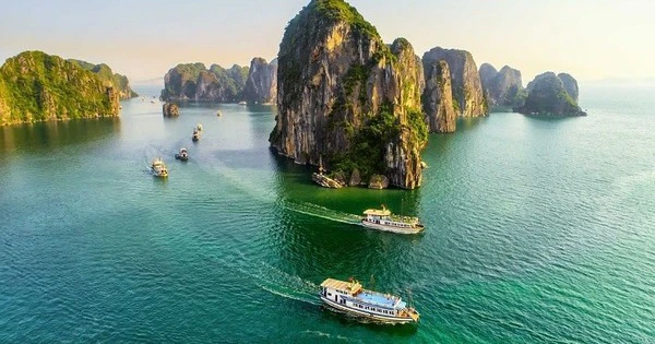 Tăng trưởng 1 tầng lớp ở VN thuộc hàng cao nhất châu Á, giai đoạn vàng của ngành có doanh thu 34 tỷ USD
