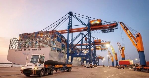 “Gã khổng lồ” ngành cảng biển, logistics của Việt Nam vừa lập kỷ lục mới