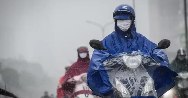 Tin gió mùa đông bắc mới nhất: Miền Bắc sắp mưa to, nhiệt độ giảm mạnh