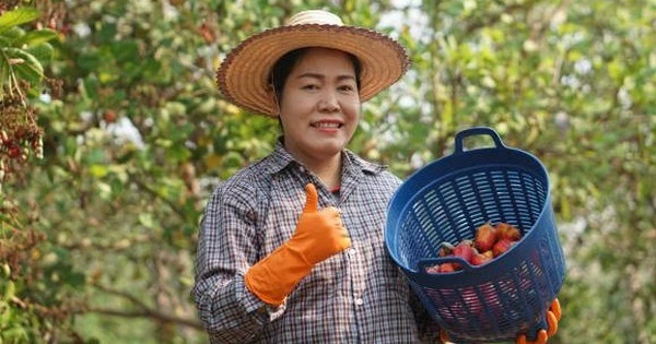 Việt Nam đã chi mức tiền kỷ lục để mua một 