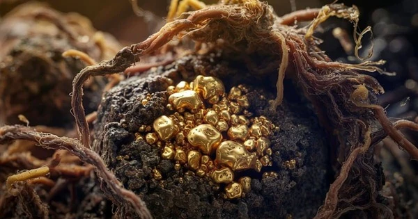 Quốc gia sản xuất vàng lớn thứ 2 thế giới có phát hiện chấn động, kỳ vọng khai thác vàng tốn ít chi phí, ngay cả trong không gian