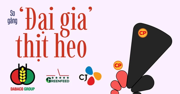 350.000 con heo nái đưa C.P. Việt Nam thống trị ngành heo, ‘đại gia’ Việt phất cờ chiếm lại thị trường?