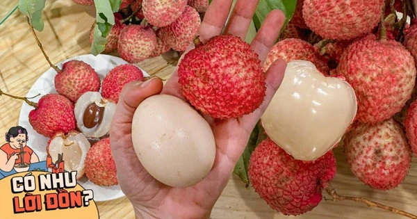 Bỏ 1,2 triệu để mua 5kg vải trứng: Kích thước 