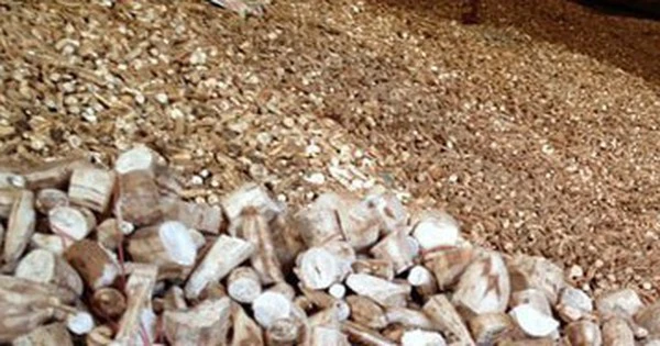'Vàng trắng' dưới lòng đất của Việt Nam được Trung Quốc săn lùng bất kỳ giá nào, xuất khẩu tăng hơn 300%