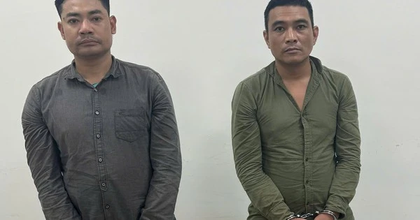 Tạm giữ hình sự Nguyễn Thành Như và Hoàng Đức Vượng