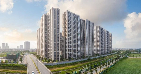 Cơn khát an cư: 94% căn hộ trên thị trường không dành cho người bình dân