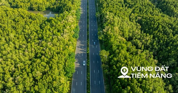 Thay bạn đi xem công trường đại lộ rộng 120 m, dài 8 km ở siêu dự án lấn biển lớn nhất Việt Nam của Vinhomes