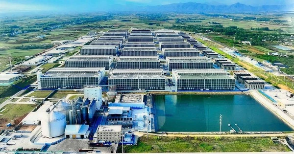 BAF nói về “chung cư nuôi heo” đầu tiên tại Việt Nam: Để tạo ra 100.000 heo/năm chỉ cần 95 nhân công, diện tích đất 6,7ha - tiết kiệm được 10 lần