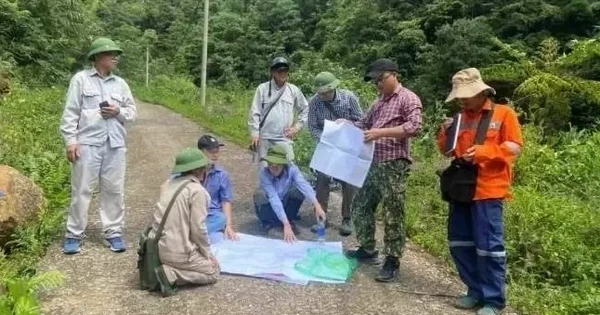 Dự báo Trung Trung bộ có hơn 10 tấn vàng