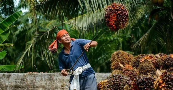 Một ngành giúp Malaysia thu 26 tỷ USD/năm, nước bạn kỳ vọng 