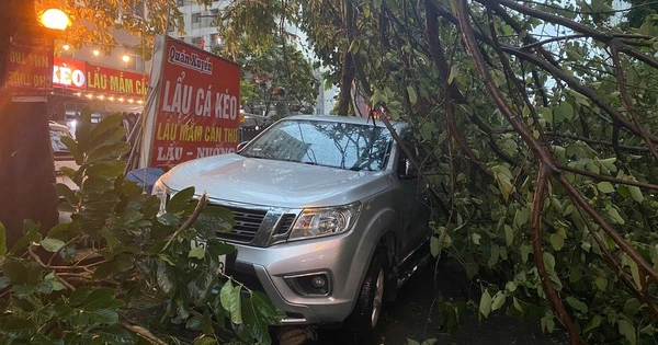 Chùm ảnh: Đường phố Hà Nội tan hoang sau cơn giông kinh hoàng, cây xanh bật gốc và gãy đổ hàng loạt