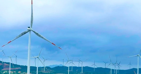 Dự án điện gió có tiềm năng, một doanh nghiệp quân đội đề xuất nâng quy mô lên hơn 310 triệu USD