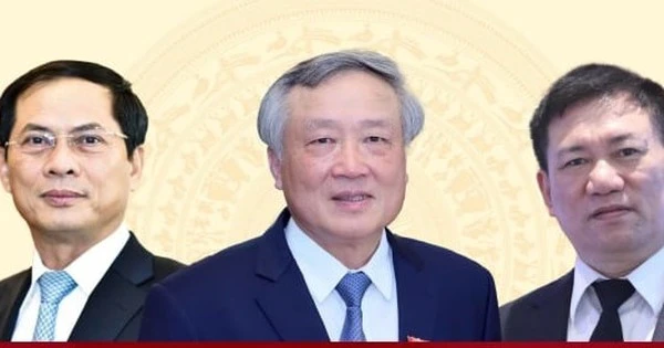 Ông Nguyễn Hòa Bình, Hồ Đức Phớc, Bùi Thanh Sơn làm Phó Thủ tướng