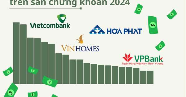 Ngôi vương đổi chủ trong Top20 lợi nhuận 2024, mình tỷ phú Phạm Nhật Vượng 'địch lại' nhóm ngân hàng