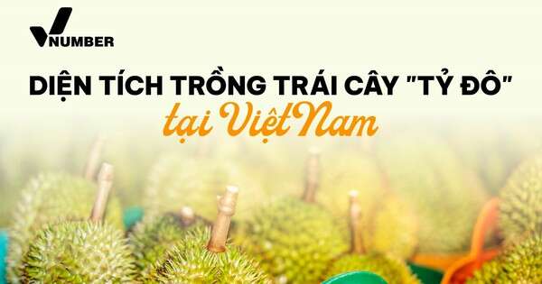 Bản đồ tỷ đô: Loại sản vật trời ban cho riêng Đông Nam Á giúp Việt Nam thu 3,3 tỷ USD, tỉnh nào đang là ‘thủ phủ’?