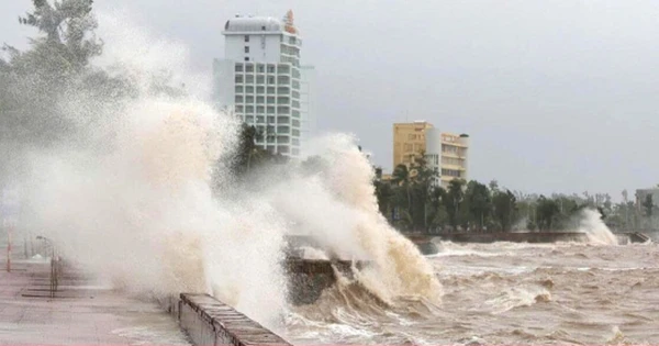 Chuyên gia: Bão số 11 Matmo mạnh lên nhanh trong ngày mai, cực đại cấp 12-13