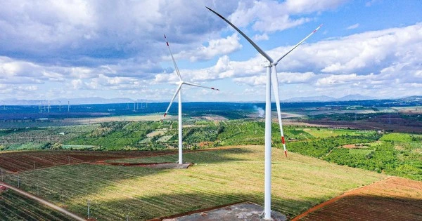 Rót 3,3 tỷ USD vào Việt Nam, doanh nghiệp năng lượng Thái Lan có doanh thu 2.500 tỷ trong năm 2024 phàn nàn về giá mua điện thấp