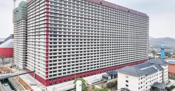 Lần đầu tiên VN hợp tác với TQ về “cách làm hay” trong 1 lĩnh vực dự kiến thu về 10.000 tỷ đồng mỗi năm