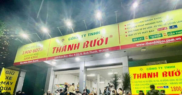 Thành Bưởi đang kinh doanh ra sao?