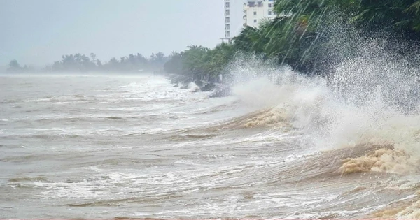 Bão Ragasa liên tục tăng cấp, có thể đánh đắm tàu trọng tải lớn khi ở Biển Đông