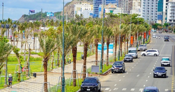 Chuyện khó coi tại Dự án chỉnh trang lớn nhất TP Vũng Tàu: Hình ảnh 