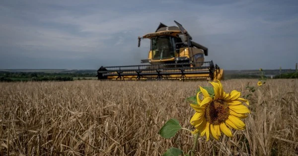 Chịu áp lực nội bộ, EU sắp có động thái khiến Ukraine hứng cú sốc kinh tế nghiêm trọng