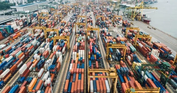 Việt Nam trở thành “cường quốc” của mặt hàng này, xuất khẩu vượt Thái Lan, bỏ xa Mỹ