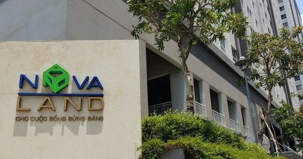 Những chủ tịch, CEO ngoại ở doanh nghiệp Việt vừa thôi chức