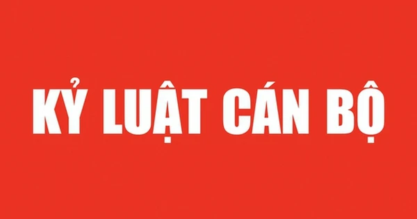 Thủ tướng quyết định thi hành kỷ luật 2 cán bộ