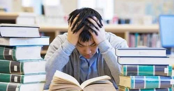 Ngành học từng tốt nghiệp là có việc, kể cả người có trình độ thấp, nay lao đao trước AI, thực tập cũng thành chuyện xa vời