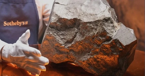 Viên thiên thạch Sao Hỏa bán 5 triệu USD gây tranh cãi ở Niger