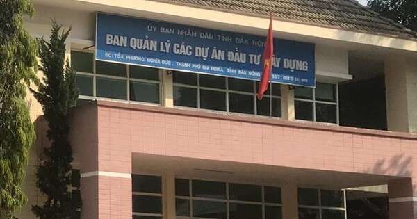 Phó giám đốc xin nghỉ việc sau khi bị phát hiện dùng bằng đại học không hợp pháp