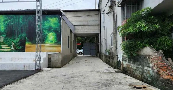 Thanh Hóa lập đoàn kiểm tra vụ hơn 1.000 chai nước mắm vứt trong bụi rậm