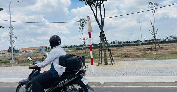 Không có hàng để bán, môi giới “lùng sục” chủ đất, giá cao vẫn có người mua