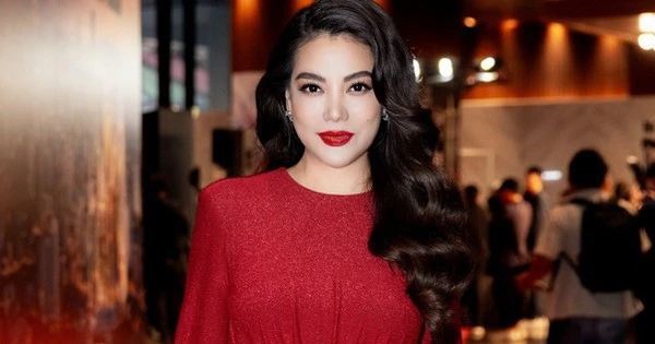 Vụ Trương Ngọc Ánh bị bắt: Doanh nghiệp do nữ diễn viên từng làm Chủ tịch chỉ có 3 lao động nhưng nhận góp vốn 9,1 triệu USD từ nhà đầu tư nước ngoài