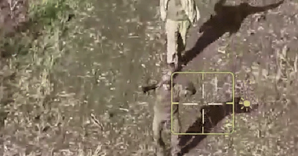 Ukraine tuyên bố chia cắt đội hình Nga, bắt giữ 150 lính gần Dobropillya