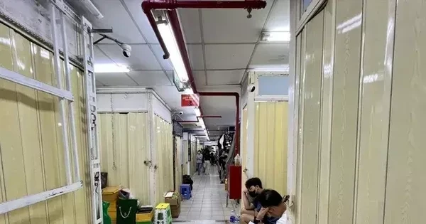 Vòi bạch tuộc vẫn luồn lách