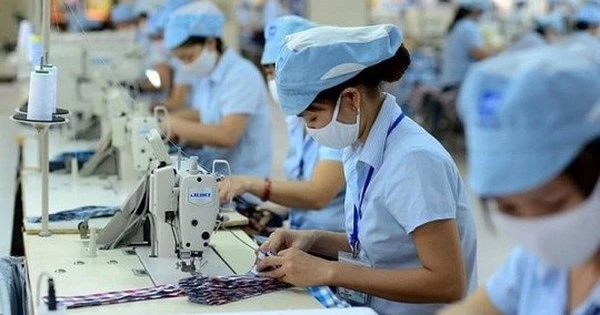 Một doanh nghiệp dệt may lớn báo lãi hơn trăm tỷ sau 5 tháng, hoàn thành 50% kế hoạch năm