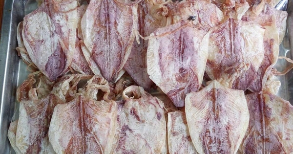 Đứng trước mặt chuyển khoản 500 triệu đồng mua 200kg mực nhưng người bán quyết không đưa hàng, cô gái 23 tuổi báo công an