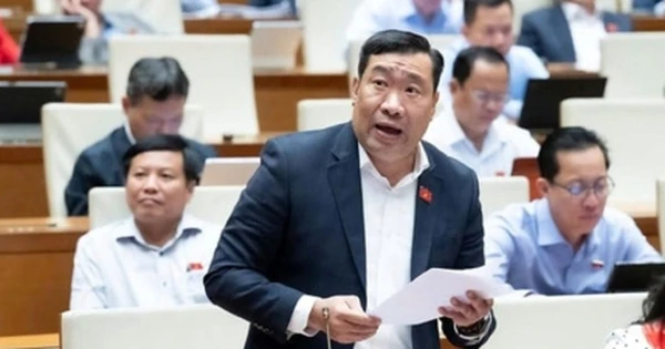 ĐBQH: Người dân Việt Nam có 400-500 nghìn tấn vàng nhưng phần lớn nằm trong két