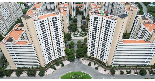 Nguyên giảng viên Đại học Bách Khoa bước vào cuộc đua đấu giá 3.790 căn tái định cư Thủ Thiêm, cạnh tranh trực tiếp Sơn Kim Land, Sunshine Group