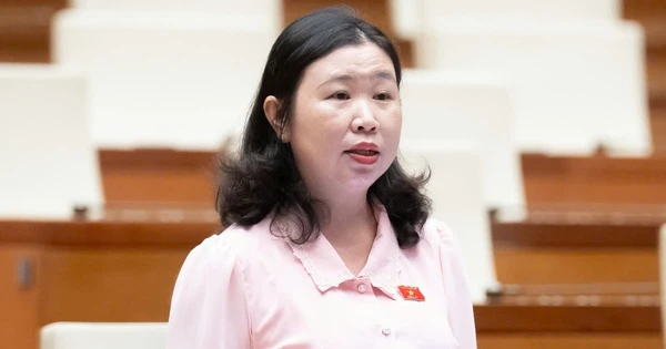 Vụ Vạn Thịnh Phát khối lượng công việc lớn, giám định 3 tháng là 'bất khả thi'