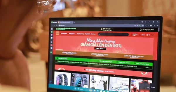 Vì sao sàn thương mại điện tử xuyên biên giới có thể hoạt động 