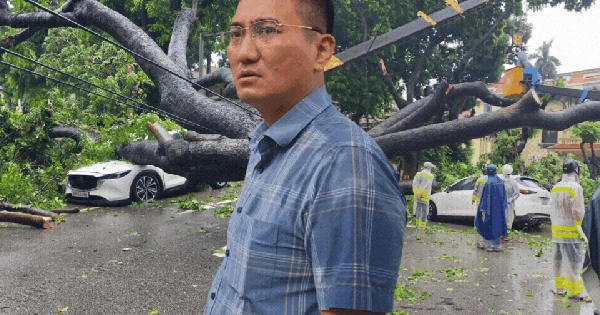 Chủ xe kể 30 giây kinh hoàng khi cây lớn bật gốc đè trúng ô tô giữa phố tại Hà Nội