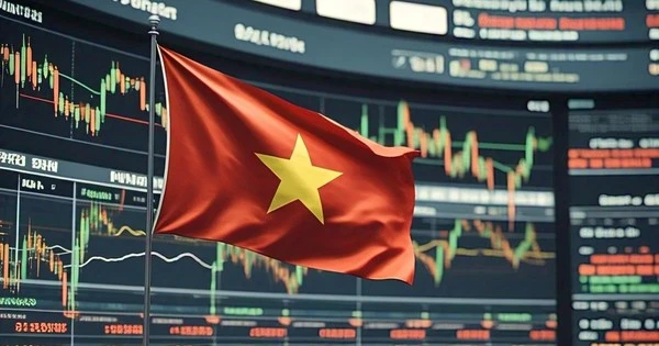 Cá nhân ồ ạt đổ tiền, một lĩnh vực kinh tế của Việt Nam bước vào thời kỳ 'siêu sôi động'