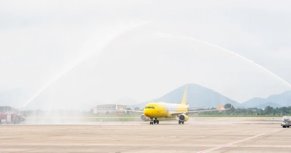 Từng được ví như 