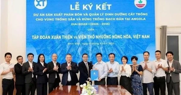Hành động mới của 