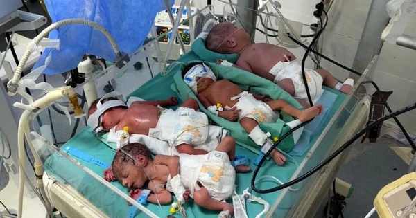Khủng hoảng nhiên liệu lên đỉnh điểm, các bác sĩ Gaza tuyệt vọng đặt nhiều trẻ sơ sinh vào 1 lồng ấp