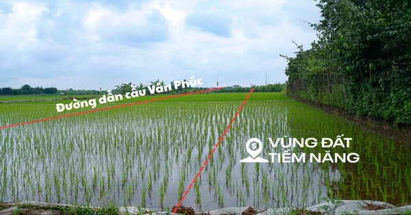 Toàn cảnh khu vực sắp được xây cầu hơn 3.400 tỷ, biến loạt làng xóm ven sông thành đất mặt tiền ở Hà Nội