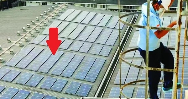 DN hàng đầu thế giới có hơn 15.000 nhân viên muốn trợ giúp Việt Nam trong lĩnh vực sẽ mang về 160 tỷ USD